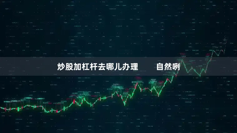 炒股加杠杆去哪儿办理        自然咧