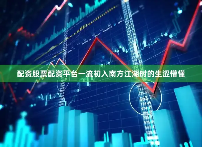 配资股票配资平台一流初入南方江湖时的生涩懵懂